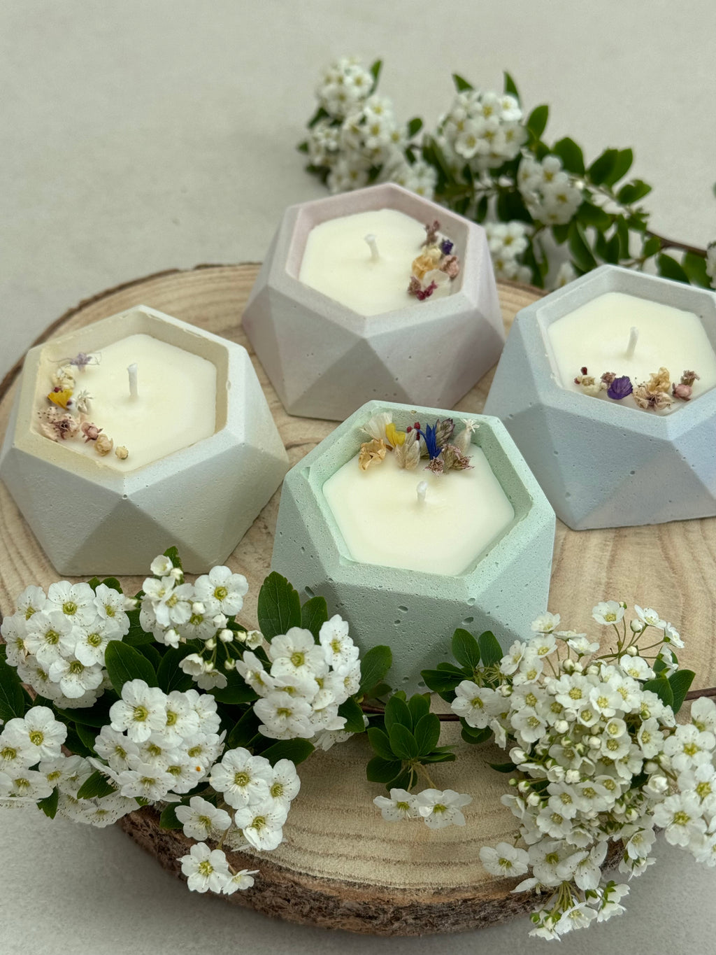Lot de bougies hexagonales en béton pastel aux fleurs séchées