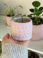 Cache-pot en béton rose clair design picot 