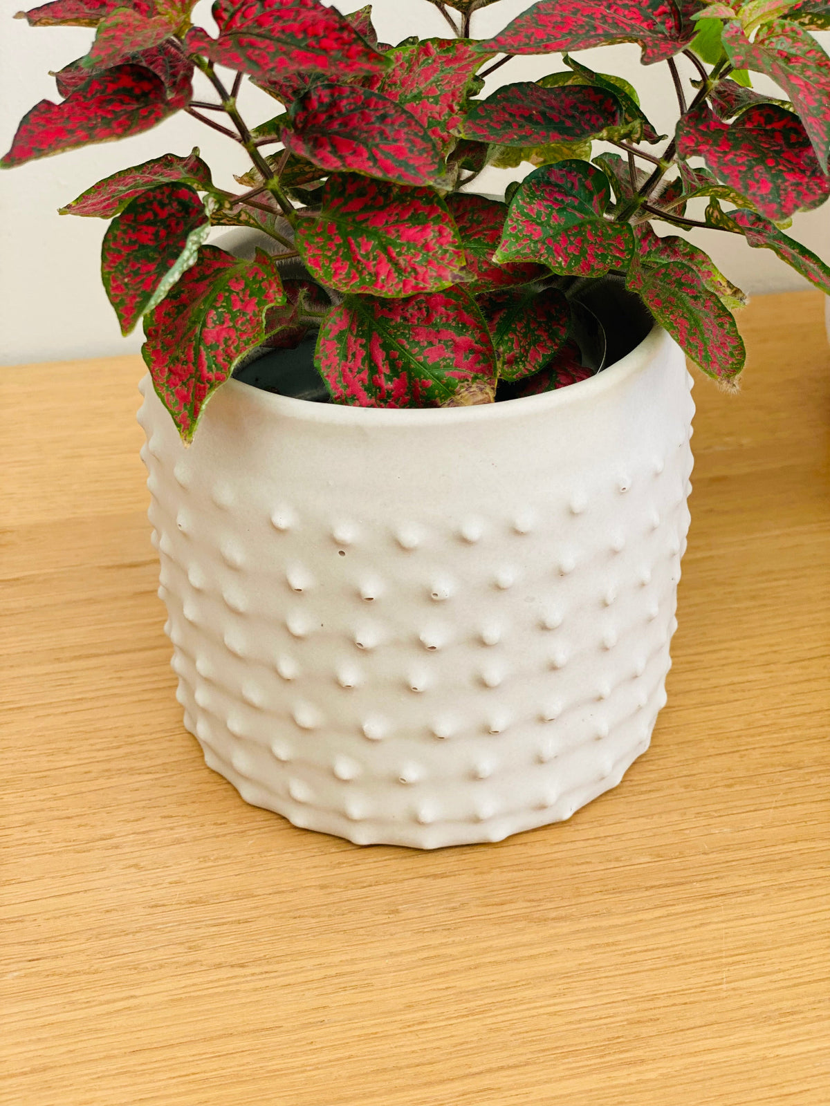Cache pot blanc en picots avec une plante 