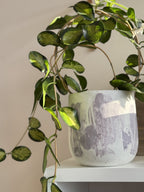 Un grand pot jardinière en béton avec motif craquelé mauve lilas sur blanc contenant un joli hoya australis lisa.