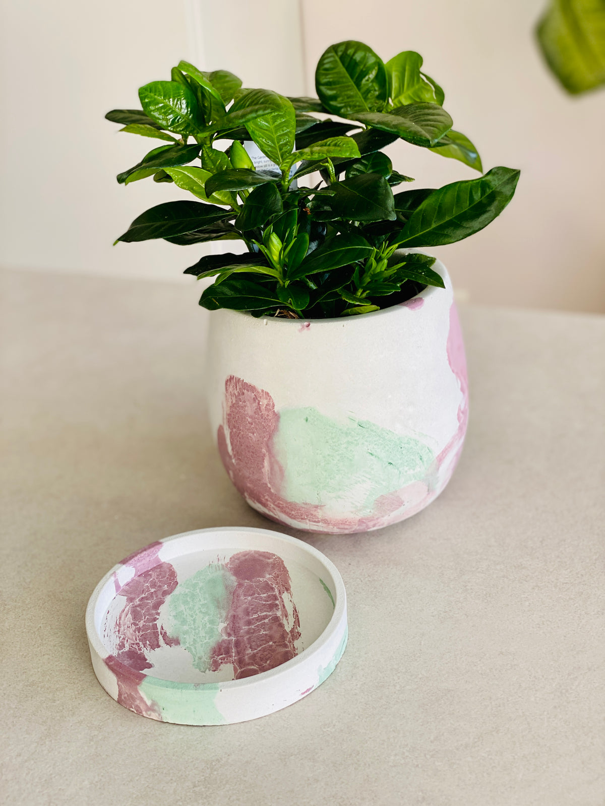 Cache-pot artisanal en béton vert clair et bordeaux avec soucoupe assortie