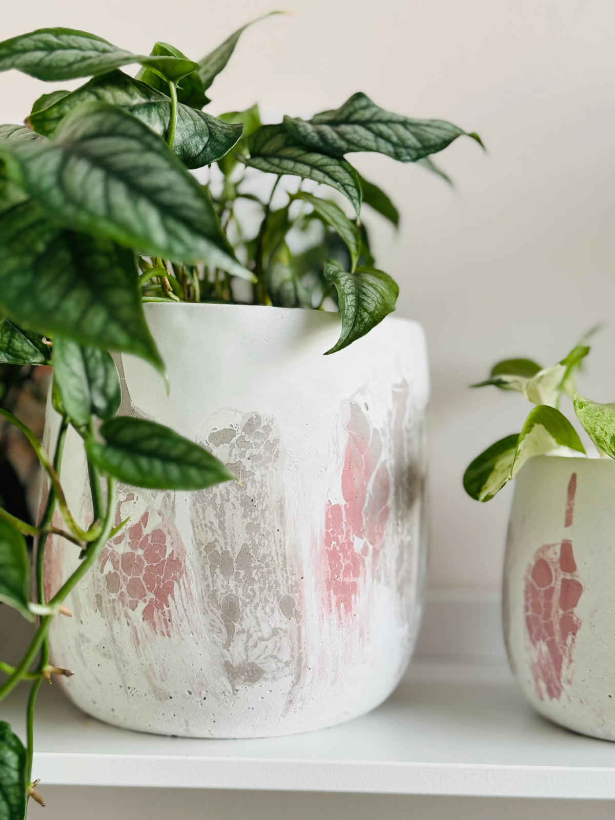 Grand cache-pot en béton motif craquelé rose et gris sur blanc avec une plante intérieur 