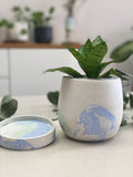 Cache-pot en béton avec soucoupe motif craquelé Bleu Vert avec plante d’intérieur