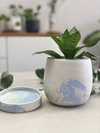 Cache-pot en béton avec soucoupe motif craquelé Bleu Vert avec plante d’intérieur