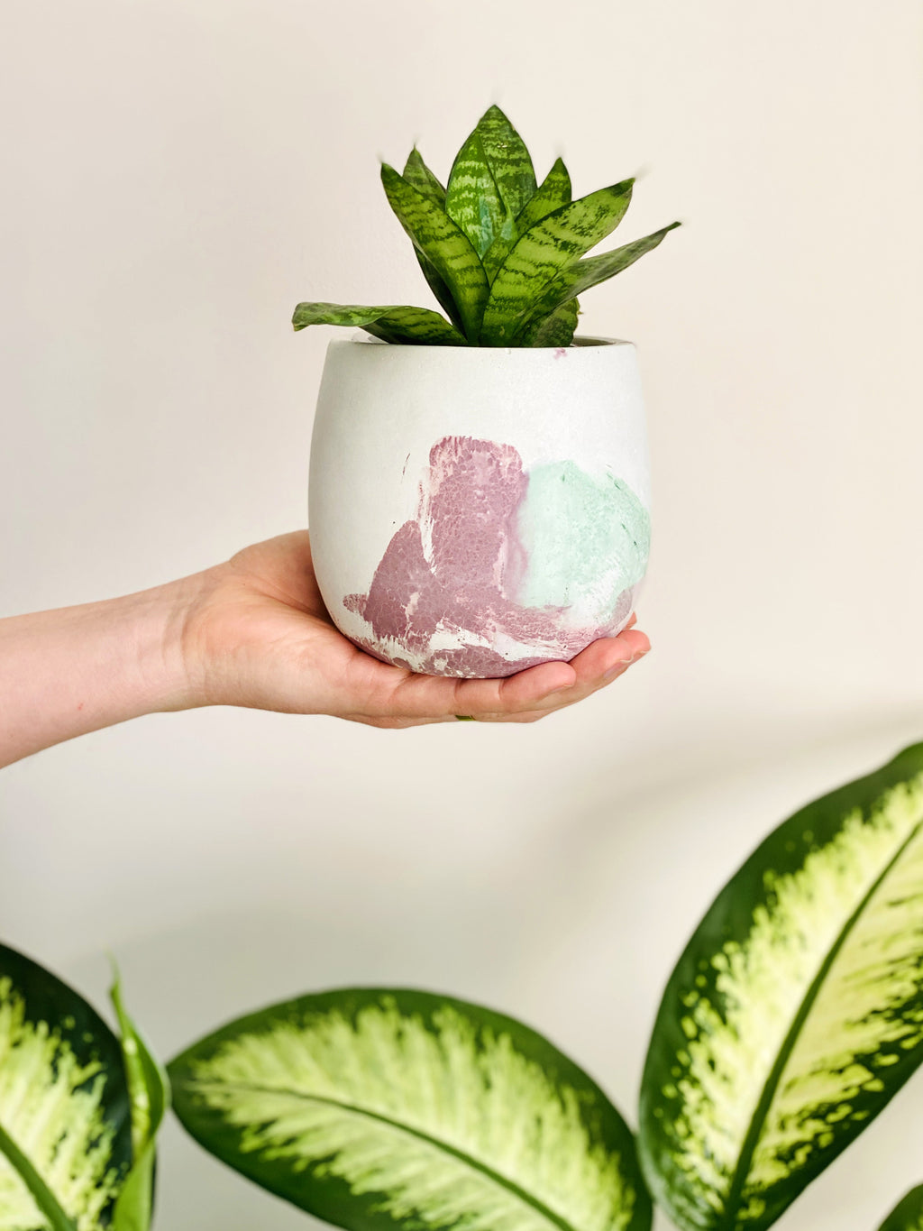 Cache-pot en béton craquelé Vert Magenta avec plante d’intérieur
