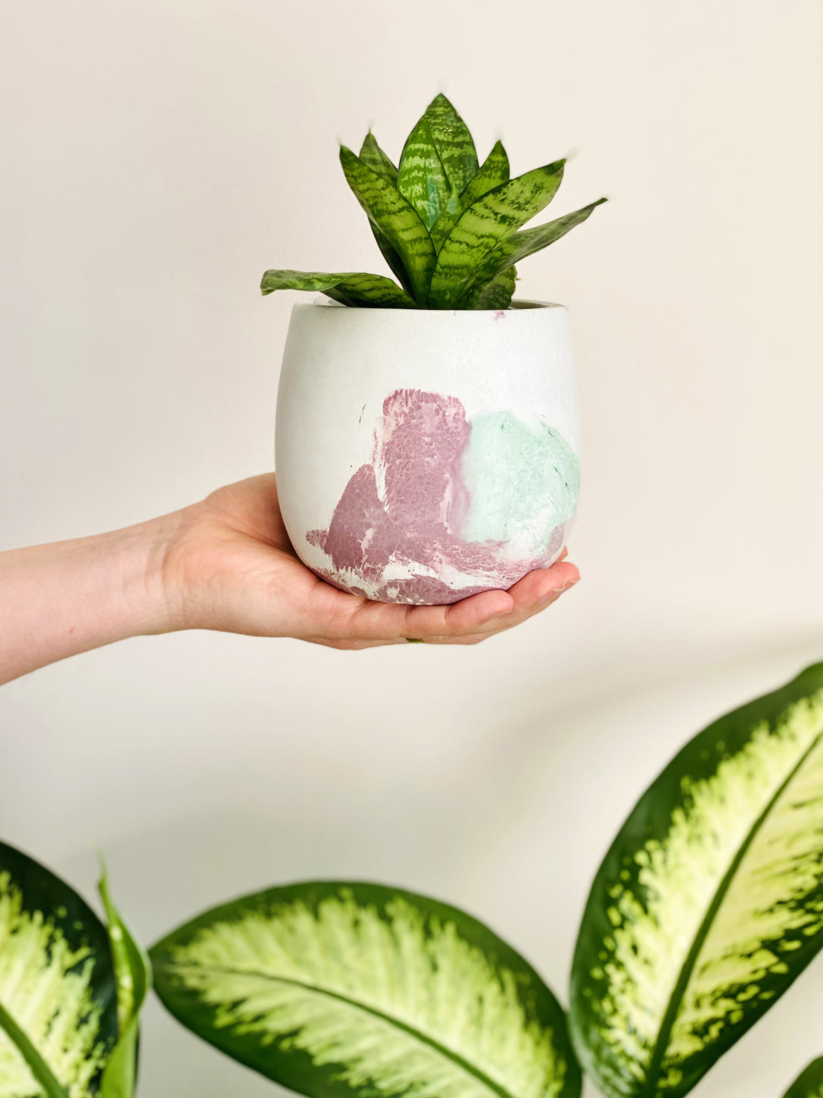 Cache-pot en béton craquelé Vert Magenta avec plante d’intérieur
