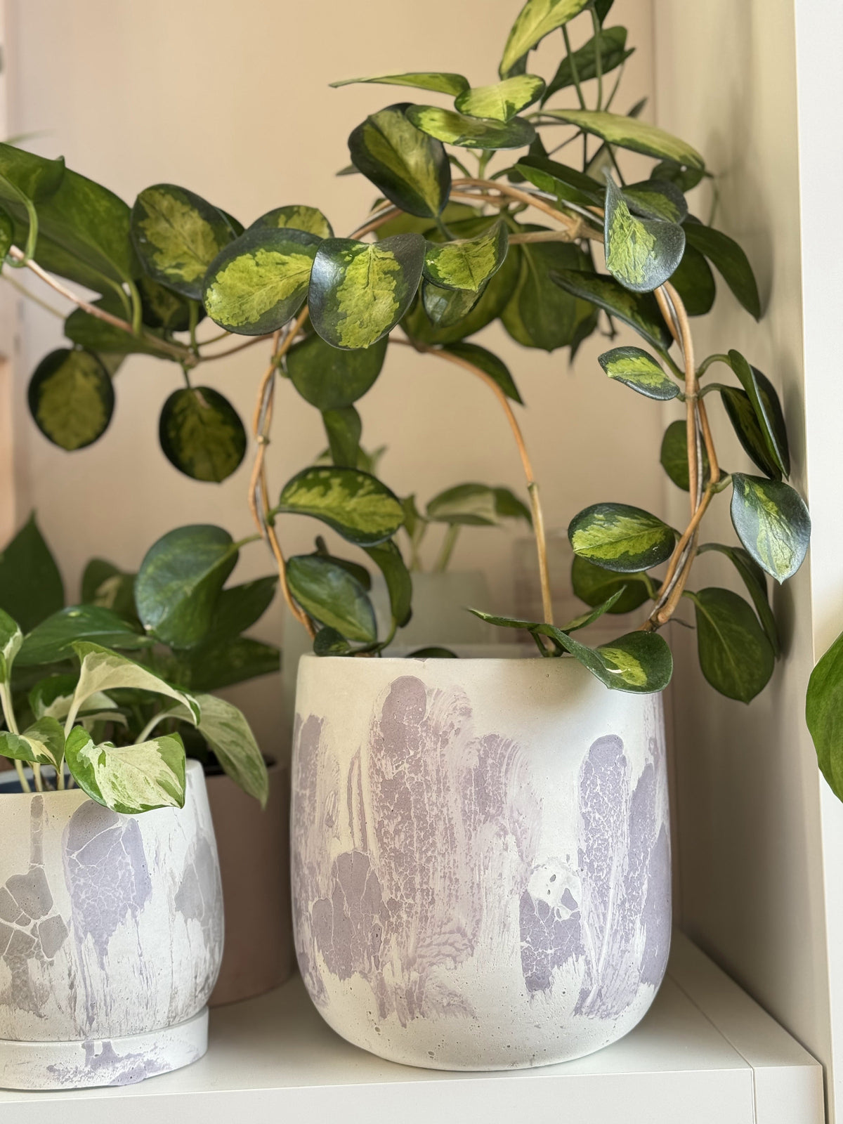 Deux cache-pots en béton grand et petit style craquelé mauve lilas sur blanc avec des plantes intérieur 
