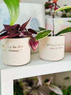 Deux petits pots en Jesmonite avec un message personnalisé « Veux-tu être ma témoin ? »