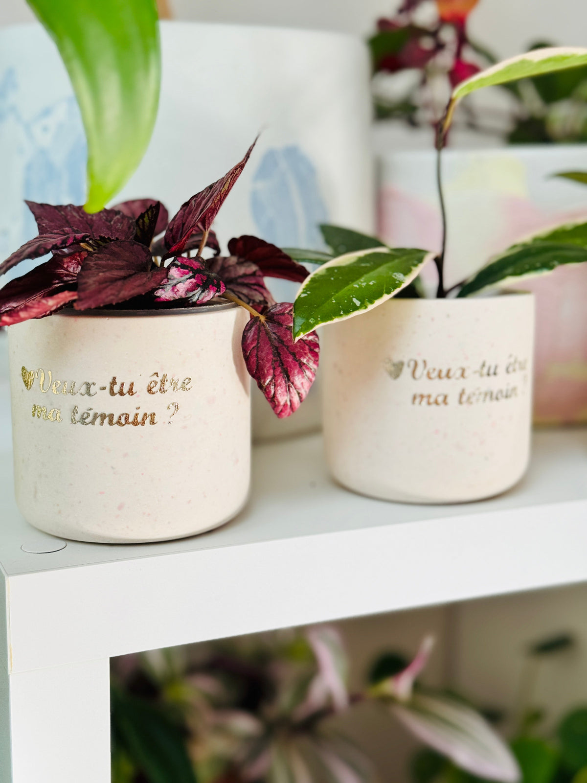 Deux petits pots en Jesmonite avec un message personnalisé « Veux-tu être ma témoin ? »