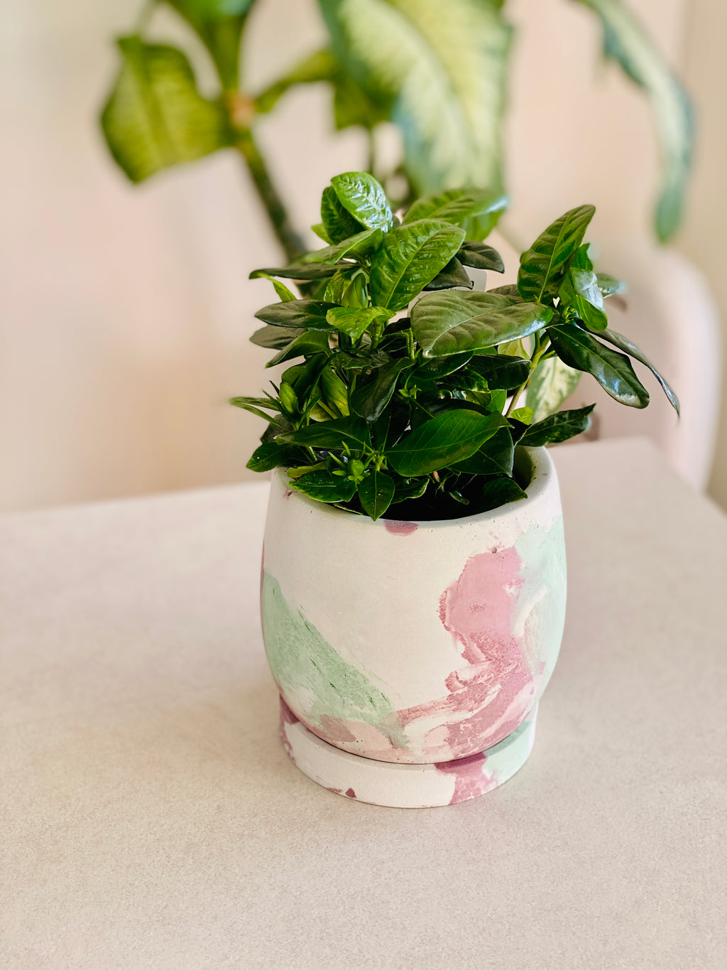 Cache-pot artisanal en béton avec soucoupe assortie