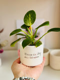 Un petit pot en Jesmonite avec une plante et un message personnalisé dessus  « Veux-tu être ma témoin ? »