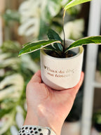 Mini pot personnalisé en Jesmonite effet terrazzo pour une demande de témoin